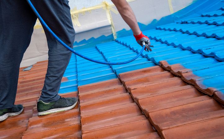 Roof Painting