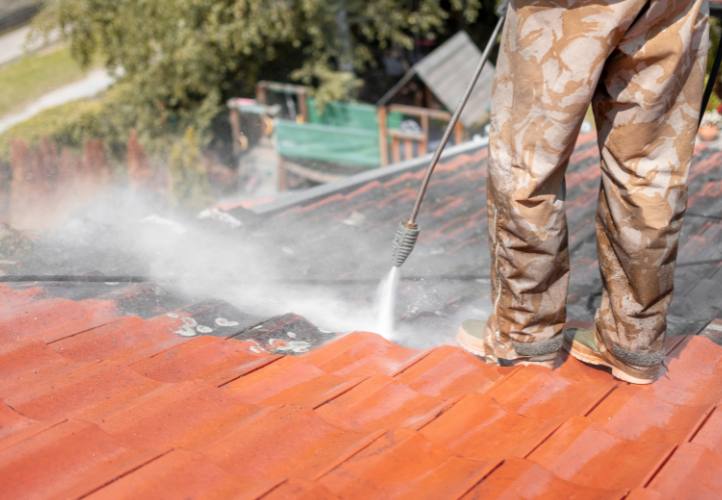 Why Roof Cleaning Matters