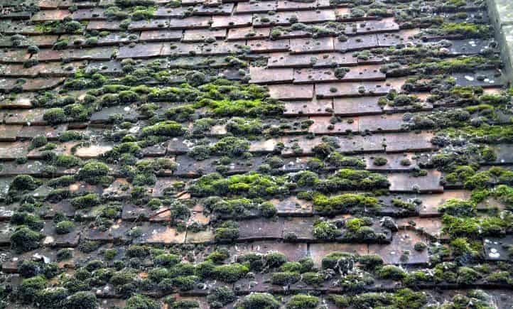 Roof Cleaning in Gatley